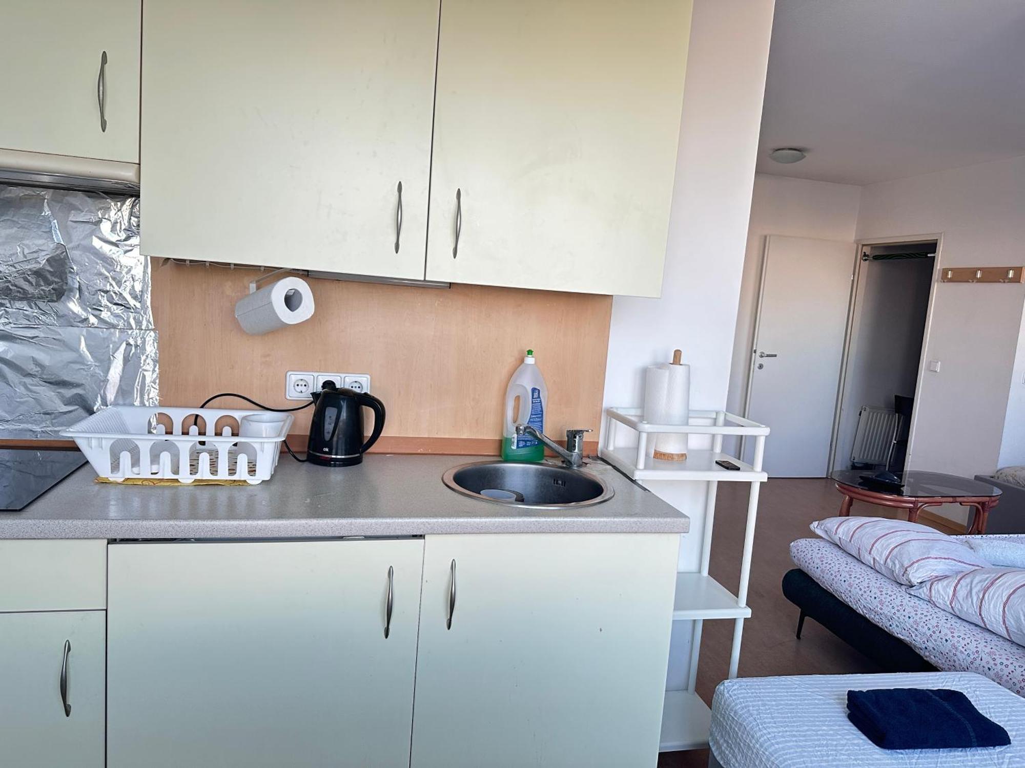 Cozy Bright Penthouse Close To U1 And U6 Metros فيينا المظهر الخارجي الصورة